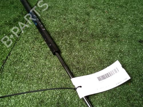 Tailgate lift support RENAULT SCÉNIC II (JM0/1_) 1.9 dCi (JM0G, JM12, JM1G, JM2C) | BP17157086C138 