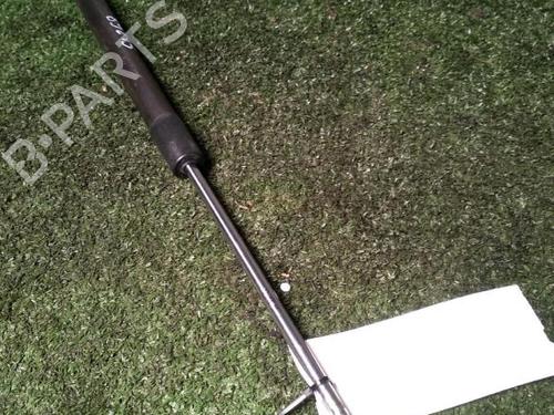 Tailgate lift support RENAULT CLIO III (BR0/1, CR0/1) 1.5 dCi | BP29951225C138 