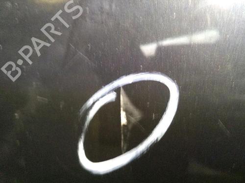Used Left front door Left front door PEUGEOT 206 CC (2D) 1.6 16V (2DNFUF, 2DNFUR) (109 hp) 29947380 29947380
