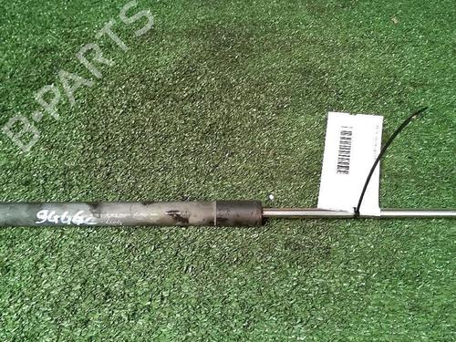 Tailgate lift support RENAULT CLIO III (BR0/1, CR0/1) 1.5 dCi (C/BR0G, C/BR1G) | BP30074135C138