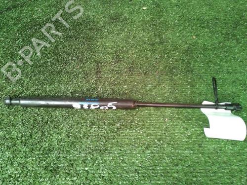 tailgate-lift-support-renault-twingo-ii-cn0_-2007-30073791 main image