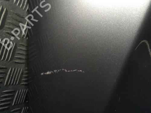Hood CITROËN C3 II (SC_) 1.4 HDi 70 (SC8HZC, SC8HR0, SC8HP4) | BP29494921C1 