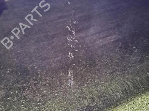 Left rear door PEUGEOT 308 II (LB_, LP_, LW_, LH_, L3_) 1.6 BlueHDi 120 | BP29949140C4