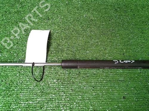 Used Tailgate lift support RENAULT CLIO III (BR0/1, CR0/1) 1.5 dCi (C/BR0G, C/BR1G) (68 hp) 30073601