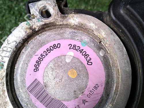 Steering pump PEUGEOT 206+ (2L_, 2M_) 1.1 | BP30071922M99