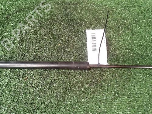 Used Tailgate lift support RENAULT CLIO IV (BH_) 1.5 dCi 90 (90 hp) 30074119