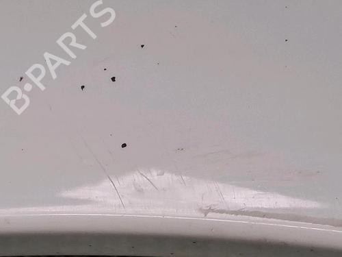 Right front fenders RENAULT MEGANE II (BM0/1_, CM0/1_) 1.5 dCi (BM02, BM13, BM2A, CM02, CM13) | BP30076874C42 