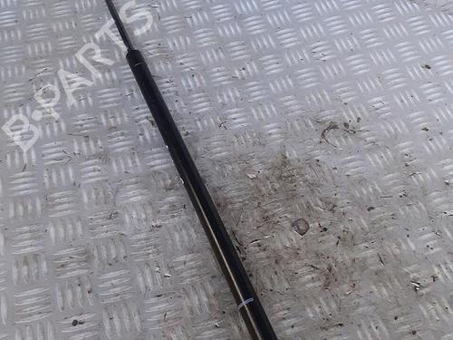 Tailgate lift support FIAT DOBLO MPV (119_, 223_) 1.3 JTD 16V | BP30072619C138