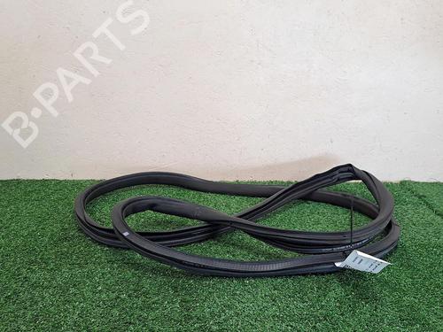 Used Rubber door seal CITROËN C3 III (SX) 1.6 BlueHDi 75 (75 hp) 29950397