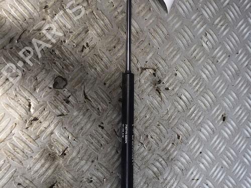 Gassdemper Bakluke FIAT 500 (312_) 1.2 (312AXA1A) (69 hp) 30072534