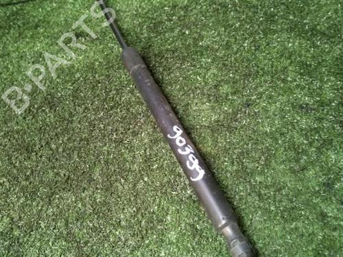 Tailgate lift support OPEL ZAFIRA / ZAFIRA FAMILY B (A05) 1.9 CDTI (M75) | BP29951205C138