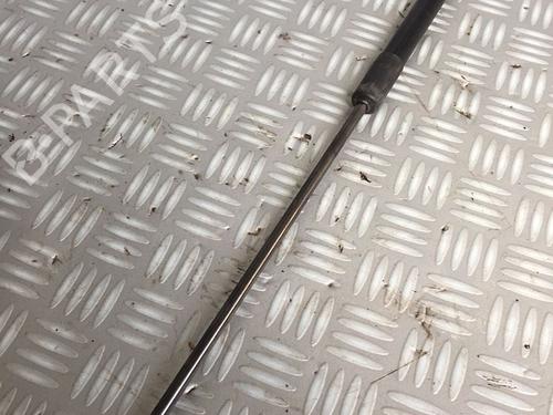 Tailgate lift support FORD FOCUS III 1.5 EcoBoost | BP30071238C138 