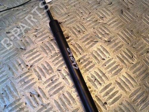 Gassdemper Bakluke RENAULT ZOE (BFM_) ZOE (92 hp) 29951321