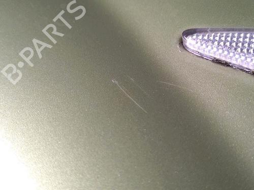 Left front fenders RENAULT MEGANE II (BM0/1_, CM0/1_) 1.6 16V (BM0C, CM0C) | BP29952948C41