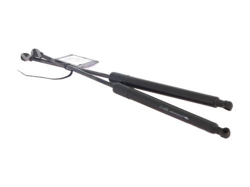 tailgate-lift-support-citroen-c3-ii-sc_-2009-33679385 main image