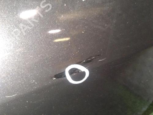Right front door RENAULT GRAND SCÉNIC II (JM0/1_) 1.5 dCi (JM1E) | BP17161777C3 