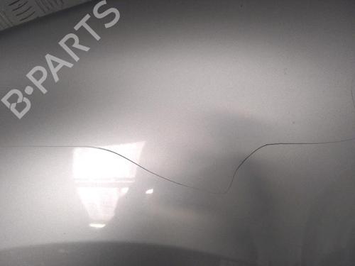 Left front fenders RENAULT SCÉNIC III (JZ0/1_) 1.5 dCi | BP17158886C41 
