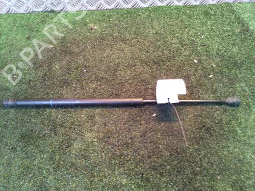 Tailgate lift support RENAULT SCÉNIC II (JM0/1_) 1.5 dCi (JM1E, JM16) | BP30073295C138 