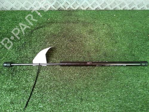 Tailgate lift support RENAULT SCÉNIC II (JM0/1_) 1.5 dCi (JM1E, JM16) | BP17160459C138 