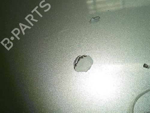 Hood CITROËN XSARA PICASSO (N68) 2.0 HDi | BP29947411C1 