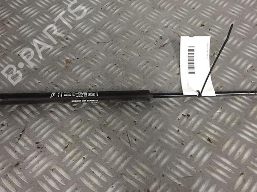 Used Tailgate lift support FIAT 500 (312_) 1.2 (312AXA1A) (69 hp) 30072447