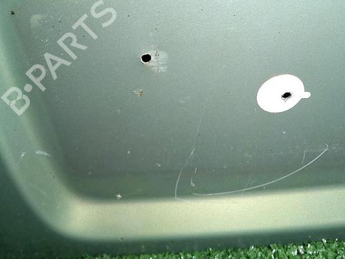Tailgate RENAULT CLIO II (BB_, CB_) 1.5 dCi (B/CB08) | BP29947148C6