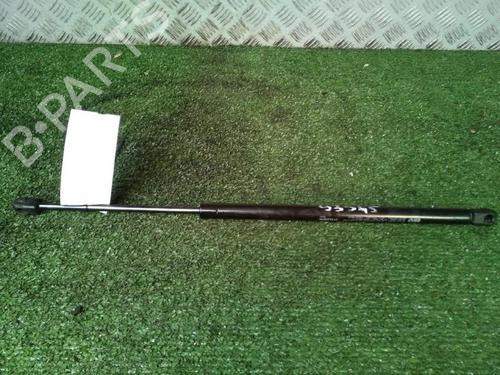 Tailgate lift support RENAULT SCÉNIC II (JM0/1_) 1.5 dCi (JM1E, JM16) | BP30073819C138 