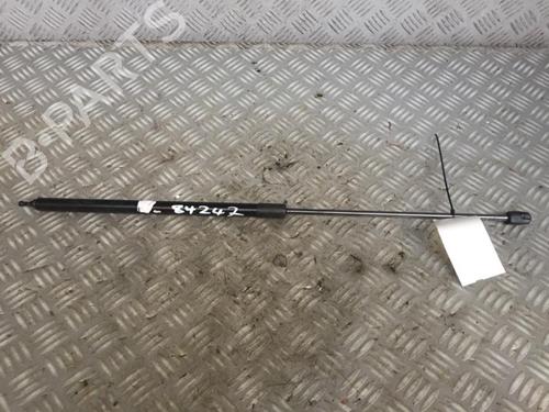 Hood lift support RENAULT MEGANE III Hatchback (BZ0/1_, B3_) 1.5 dCi (BZ1G, BZ1W, BZ0R) | BP30069512C139