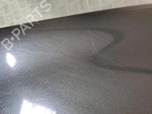 Left front fenders RENAULT LAGUNA II (BG0/1_) 1.9 dCi (BG08, BG0G) | BP21127063C41 