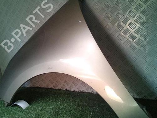 Left front fenders RENAULT SCÉNIC III (JZ0/1_) 1.5 dCi | BP30076440C41