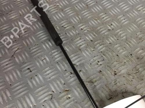 Tailgate lift support PEUGEOT 106 II (1A_, 1C_) 1.1 i | BP30072466C138