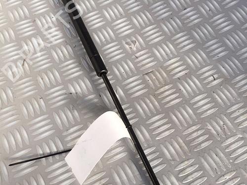 Used Tailgate lift support PEUGEOT 107 (PM_, PN_) 1.4 HDi (54 hp) 30072681