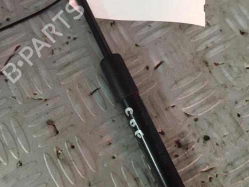 tailgate-lift-support-audi-a3-convertible-8p7-2008-2009-2010-2011-2012-2013-30069332 main image