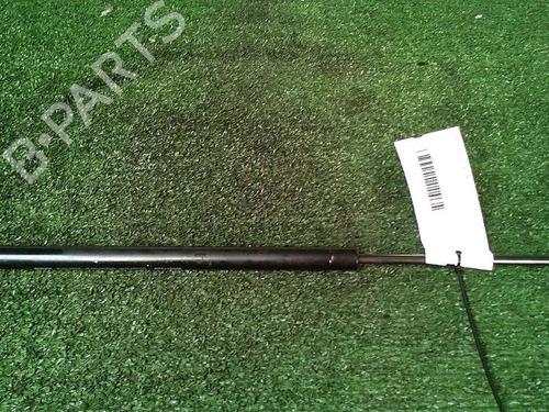 Used Tailgate lift support RENAULT SCÉNIC II (JM0/1_) 1.5 dCi (JM1E, JM16) (106 hp) 30073820