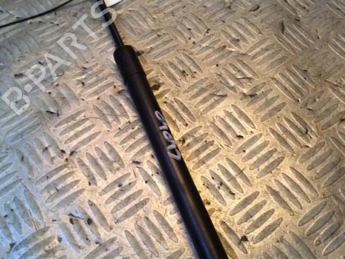 tailgate-lift-support-renault-zoe-bfm_-2012-29951321 main image