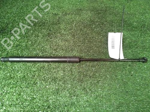 tailgate-lift-support-citroen-c3-ii-sc_-2009-30074125 main image