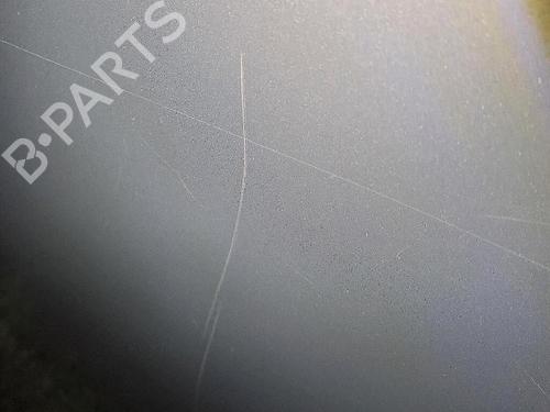 Hood RENAULT LAGUNA II (BG0/1_) 1.9 dCi (BG08, BG0G) | BP30064464C1 