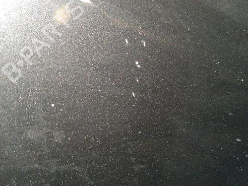 Panser DACIA SANDERO 1.5 dCi | BP30064741C1