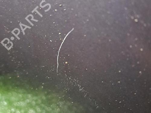 Tailgate CITROËN C8 (EA_, EB_) 2.2 HDi | BP30064505C6 - Image 4