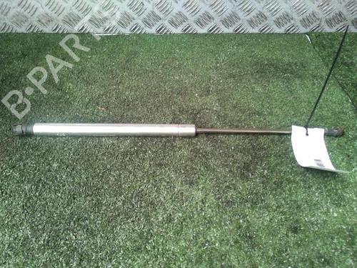 Tailgate lift support VW GOLF IV (1J1) 1.9 TDI | BP29951438C138 