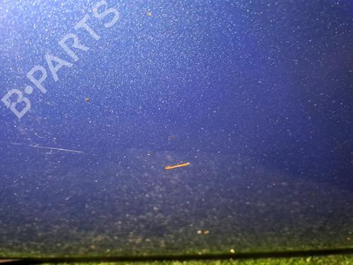 Left front door MERCEDES-BENZ A-CLASS (W168) A 160 CDI (168.007) | BP21127098C2 