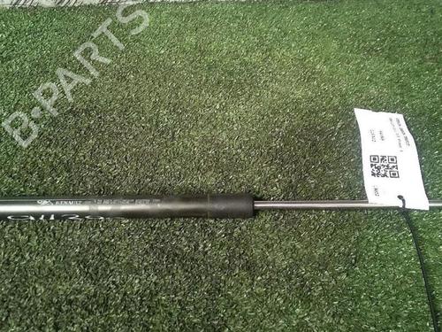 tailgate-lift-support-renault-clio-iii-br01-cr01-2005-2006-2007-2008-2009-2010-2011-2012-2013-2014-29952585 main image