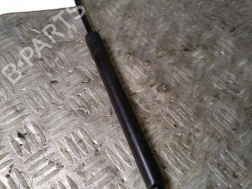 hood-lift-support-renault-megane-iv-hatchback-b9amn_-2015-30070963 main image