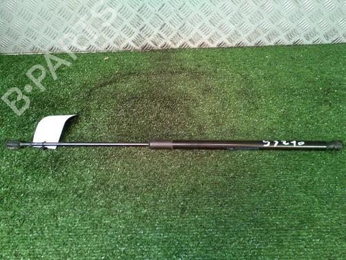 Tailgate lift support CITROËN C4 Picasso I MPV (UD_) 1.6 HDi 110 | BP17160574C138 