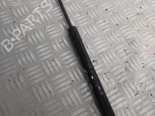 tailgate-lift-support-citroen-ds3-sa_-2009-2010-2011-2012-2013-2014-2015-2016-29951236 main image