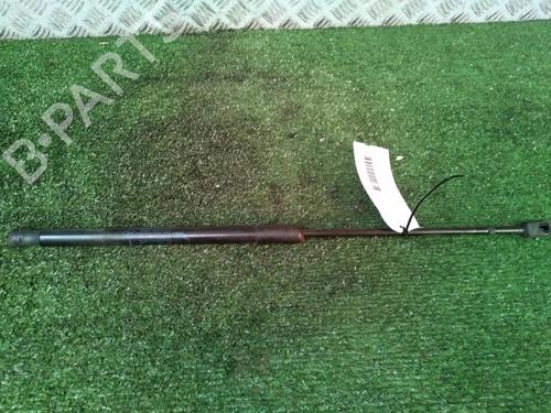 Tailgate lift support DACIA SANDERO 1.2 16V | BP30073793C138 