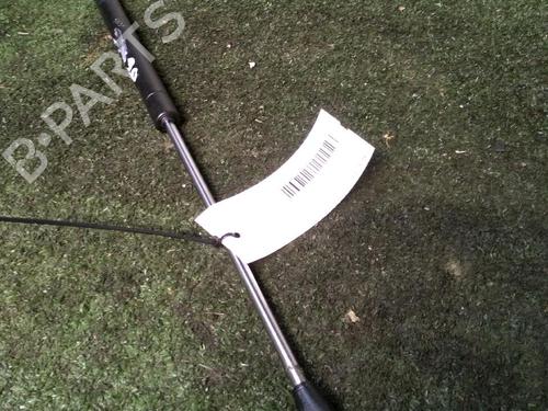 Tailgate lift support CITROËN AX (ZA-_) 14 D | BP17158539C138 