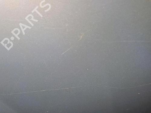 Hood RENAULT LAGUNA II (BG0/1_) 1.9 dCi (BG08, BG0G) | BP30064464C1 