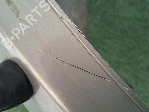 Front bumper RENAULT MEGANE II (BM0/1_, CM0/1_) 1.9 dCi (BM0G, CM0G) | BP29952982C7