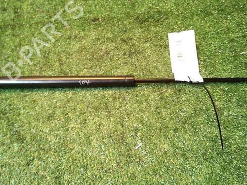 Used Tailgate lift support PEUGEOT 206+ (2L_, 2M_) 1.1 (60 hp) 30064841